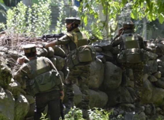 3 terrorists killed in Srinagar gunfight