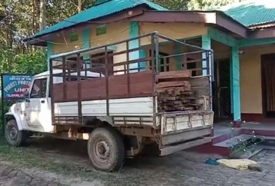 Teliamura Forest Department seized Timbers while smuggling illegally in Teliamura