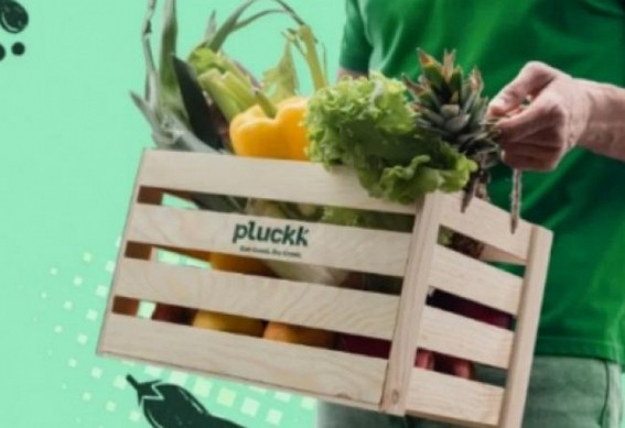 Pluckk becomes India's 1st certified 'Plastic Neutral Brand' in FnV space