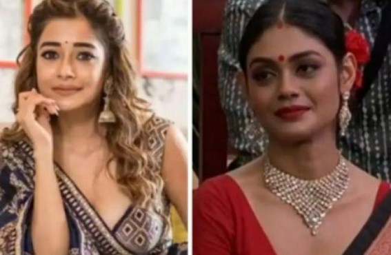 'Bigg Boss 16': Sreejita De says Tina Datta tried to break many marriages