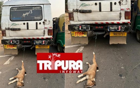 Cruelty on Animal Angered Public : Netizens Demand arrest of Driver with Vehicle TR-03 3731