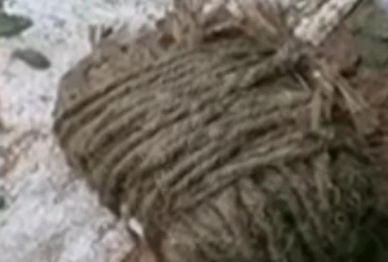 Bomb-Attack in a house Mandai Bomb-Attack in a house Mandai