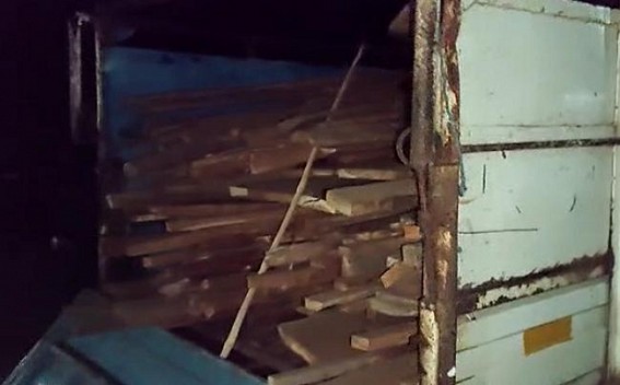 Illegal stolen wood recovered by Bishalgarh Forest Range Officer