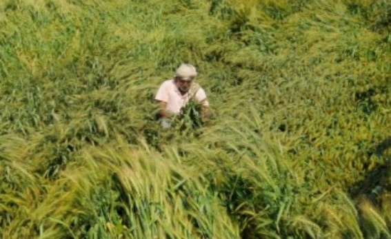 Over 9L UP farmers get compensation for losses