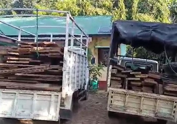 Wood Smuggling Racket Busted in Teliamura by Forest Dept : Investigation Started
