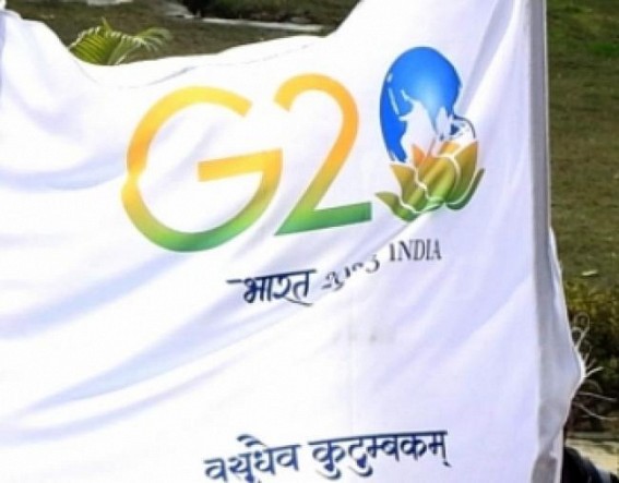G20: Gujarat gears up for Trade and Investment Working Group meeting