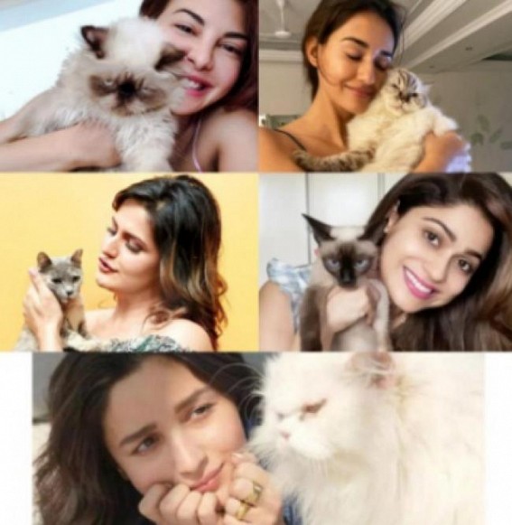 Catwomen: Alia Bhatt isn't the only Bollywood celeb in love with furry felines