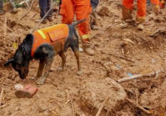 7 missing, 3 injured in rain-triggered landslides in China