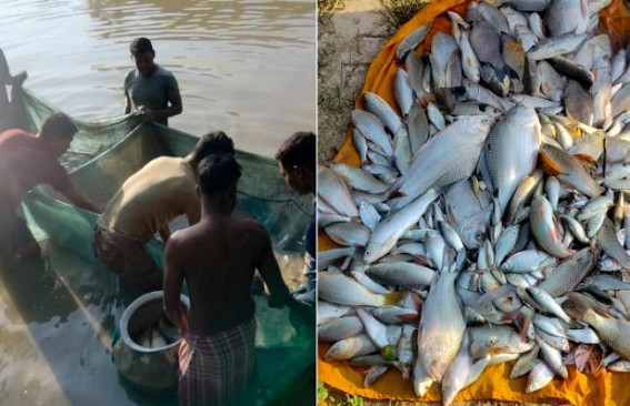 Fish Farm damaged by Poisoning in Khowai : Rivalry alleged