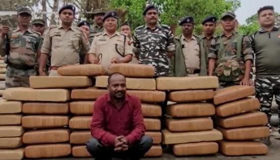350 kg Ganja seized in Teliamura, 1 Arrested