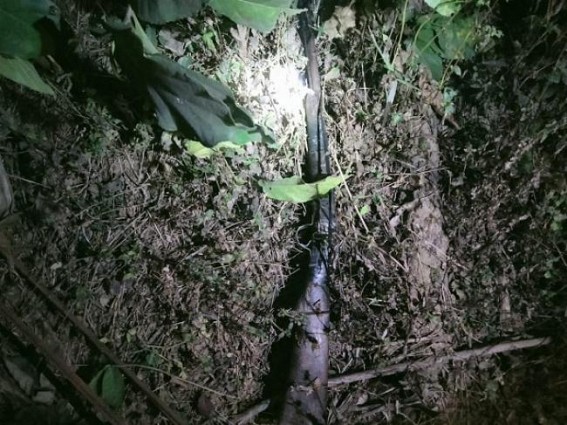 Local Gun loaded with bullets was recovered from a forest in Teliamura