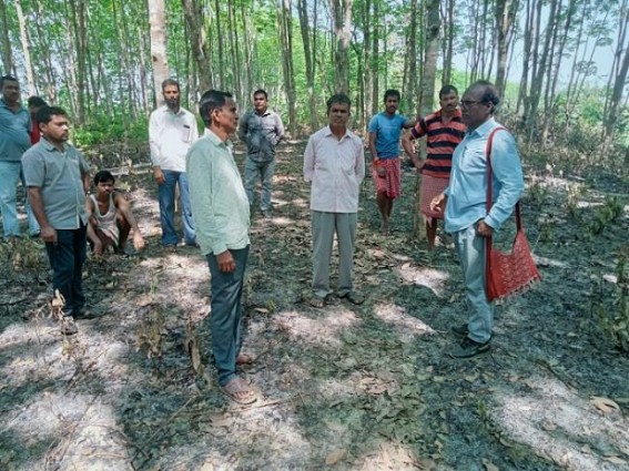 1200 Rubber Trees burnt in Fire : Sabotage act alleged 1200 Rubber Trees burnt in Fire : Sabotage act alleged