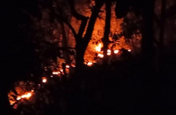 Kailashahar: Agarwood Garden burnt in a sabotage fire in Gaurnagar