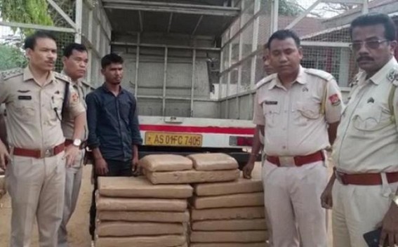 Police seized 142 Kg Dry Cannabis while smuggling it to Assam from Tripura