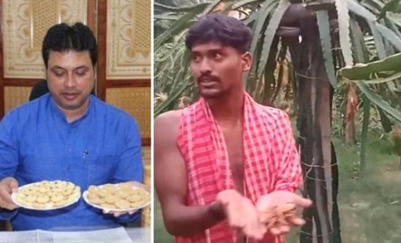 ‘Atmanirvar’ Malfunctioned: Tripura Youth Devastated after Following Ex-CM Biplab Deb’s Recommendation of Cultivating Dragon Fruits 