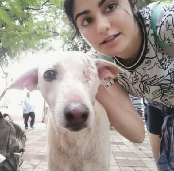 On Valentine's Day, Adah Sharma joins hands with animal hospital