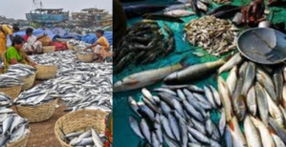 Centre okays Rs 4,969 crore package for fisheries sector Centre okays Rs 4,969 crore package for fisheries sector
