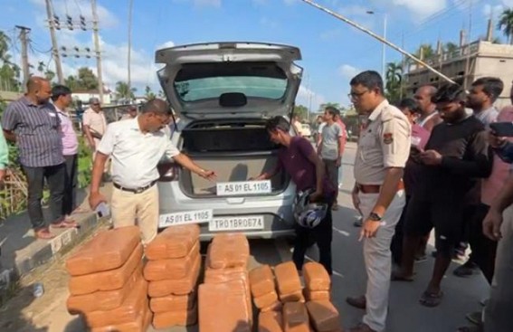 One Arrested with 230 KG Ganja ; Car along with 3 Fake Numberplates found