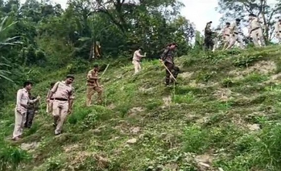 Jatrapur PS destroyed over 75,000 Ganja plants