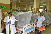 Dengue Deaths are Increasing in Bangladesh
