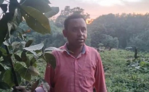 CPI-M Supporter's Rubber Plantation Vandalized in Madhupur