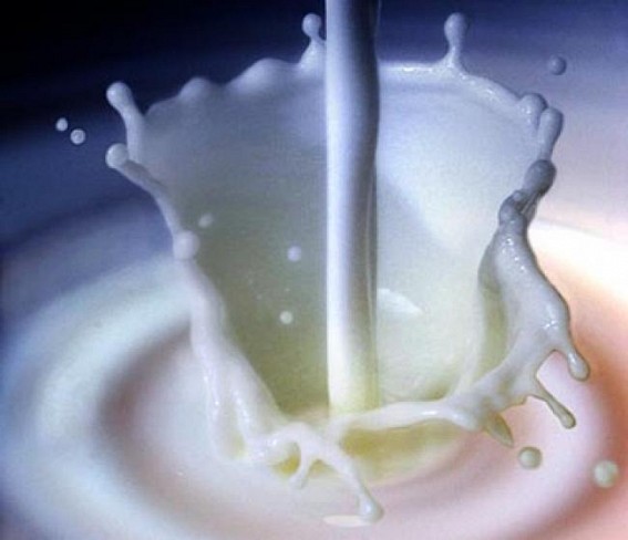 CLA in milk: A Cancer fighting agent