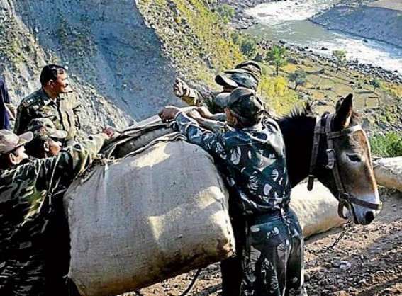India's military mules: No road too treacherous