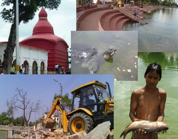 19 fishes died in Kalyan Sagar : No one from Fishery Dept visits MataBari :No concerns for the N-Nigricans Turtles 19 fishes died in Kalyan Sagar : No one from Fishery Dept visits MataBari :No concerns for the N-Nigricans Turtles