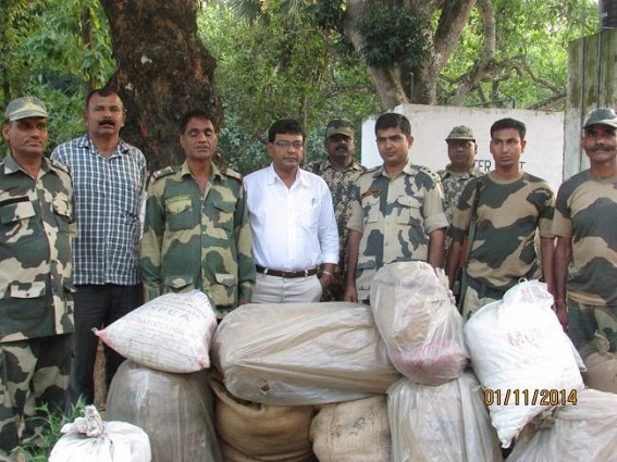 SDM Sonamura, BSF joint operation destroys contrabands worth Rs 34 Lakh SDM Sonamura, BSF joint operation destroys contrabands worth Rs 34 Lakh