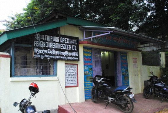 Dry fish scam worth Rs 1 crore exposed in Tripura : CEO of Fishery Dept under scanner Dry fish scam worth Rs 1 crore exposed in Tripura : CEO of Fishery Dept under scanner