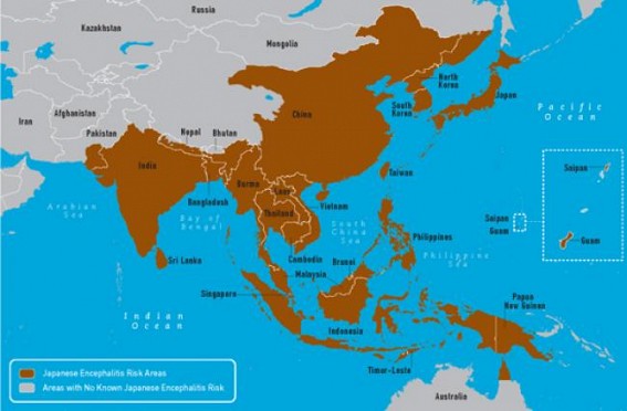 Meghalaya sounds alert for Japanese encephalitis Meghalaya sounds alert for Japanese encephalitis