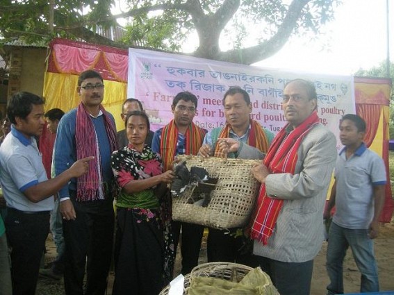 ICAR distributed 1200 newly developed chicks to the farmers for backyard poultry farming