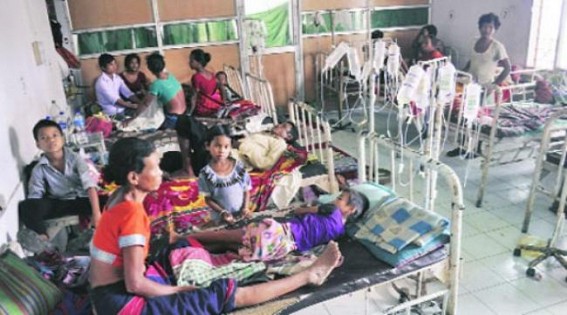 One more infected by Japanese Encephalitis, central expert continues visit in affected area One more infected by Japanese Encephalitis, central expert continues visit in affected area