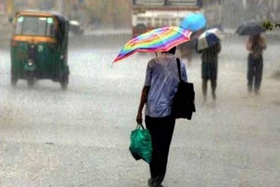 Monsoon breaks at last moment, insufficient rain impacts agriculture