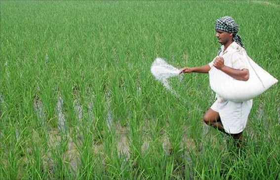 Urea Scam : Agriculture Dept hand in glove with blackmarketeers