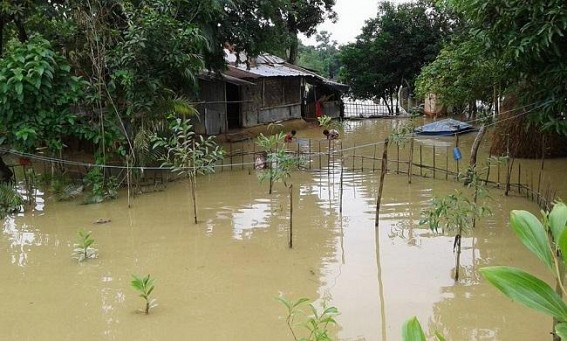 Flood situation in South Tripura turned grim : Continuous rain hampers normal life in Belonia: Farmers becomes worst affected
