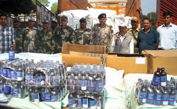 65,000 phensedyl bottles seized from Bodhjungnagar by Customs & Central Excise, BSF joint team 65,000 phensedyl bottles seized from Bodhjungnagar by Customs & Central Excise, BSF joint team