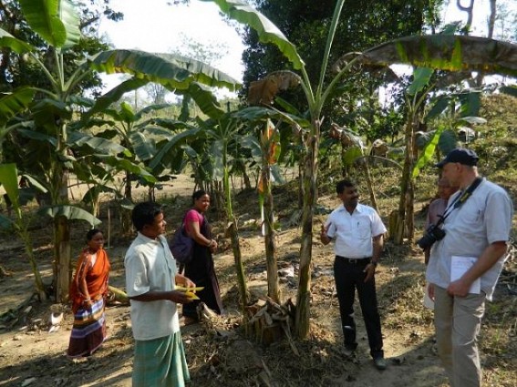 Indo-German IGDCP  initiative : Bamboo handicraft to replace jhum cultivation: Tripura jhum farmers welcome skill development training 