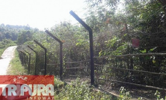 Belonia: Theft cases on a rise in the border areas Belonia: Theft cases on a rise in the border areas