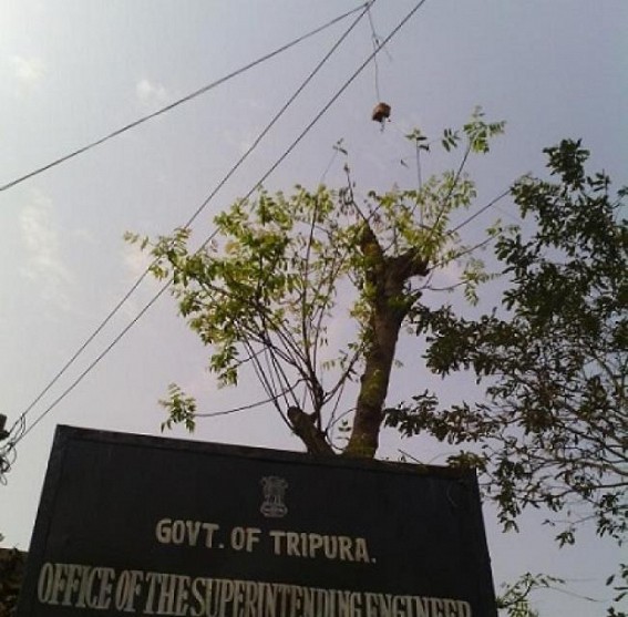 1272 families cover under Rajiv Gandhi Rural electrification scheme during the 2014-15 financial year 1272 families cover under Rajiv Gandhi Rural electrification scheme during the 2014-15 financial year