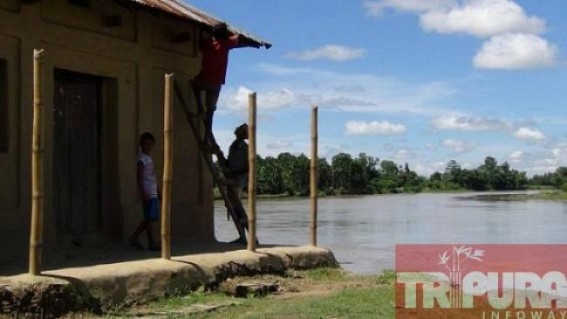 Erosion looms large in River Manu Erosion looms large in River Manu