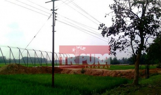 Belonia: Theft cases on a rise in the border areas Belonia: Theft cases on a rise in the border areas