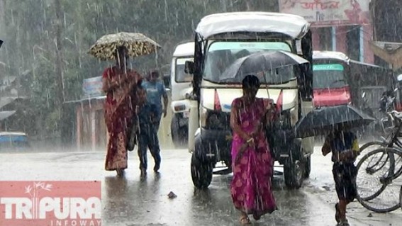 Rain wreaks havoc : Sudden climatic change in Tripura caused losses in business Rain wreaks havoc : Sudden climatic change in Tripura caused losses in business
