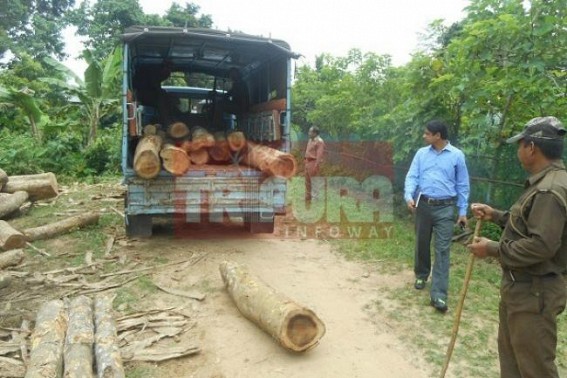 Tripura Forest Dept seized woods worth Rs. 5 lakhs Tripura Forest Dept seized woods worth Rs. 5 lakhs