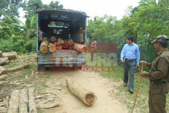 Tripura Forest Dept seized woods worth Rs. 5 lakhs
