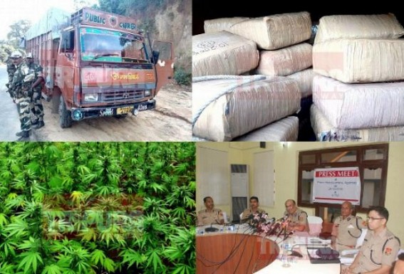 Tripura, NE tops in Narcotics smuggling   : 159 Btn. BSF recovered 500 kilos Ganja from a  Bihar origin Truck ahead of Durga Puja : DGP Nagrajâ€™s claim about â€˜Crime-Freeâ€™ festive season proven wrong  