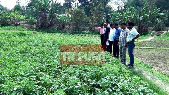 Tripura Govt.â€™s sudden concern for farmers raised question : Arun Jaitleyâ€™s huge budget proposal to double farmersâ€™ income, opened Tripura govt.'s eyes too