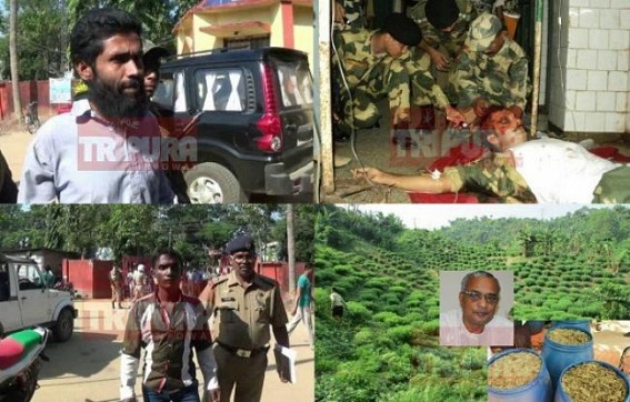 Jihadi outfits, Pakistanâ€™s ISI spreads Network across NE, Bengal, Tripuraâ€™s Bangladesh border regions : Tripura fails to curb Islamic Jihadi driven massive marijuana cultivations in Sonamura-Boxnagar region