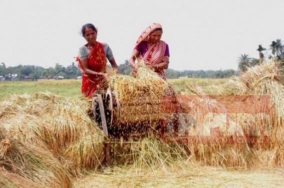 Maximum temperature to hit up to 38 degree Celsius, says MET forecast 