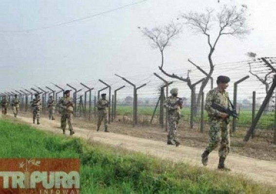 Border Security Grid to put across every bordering states